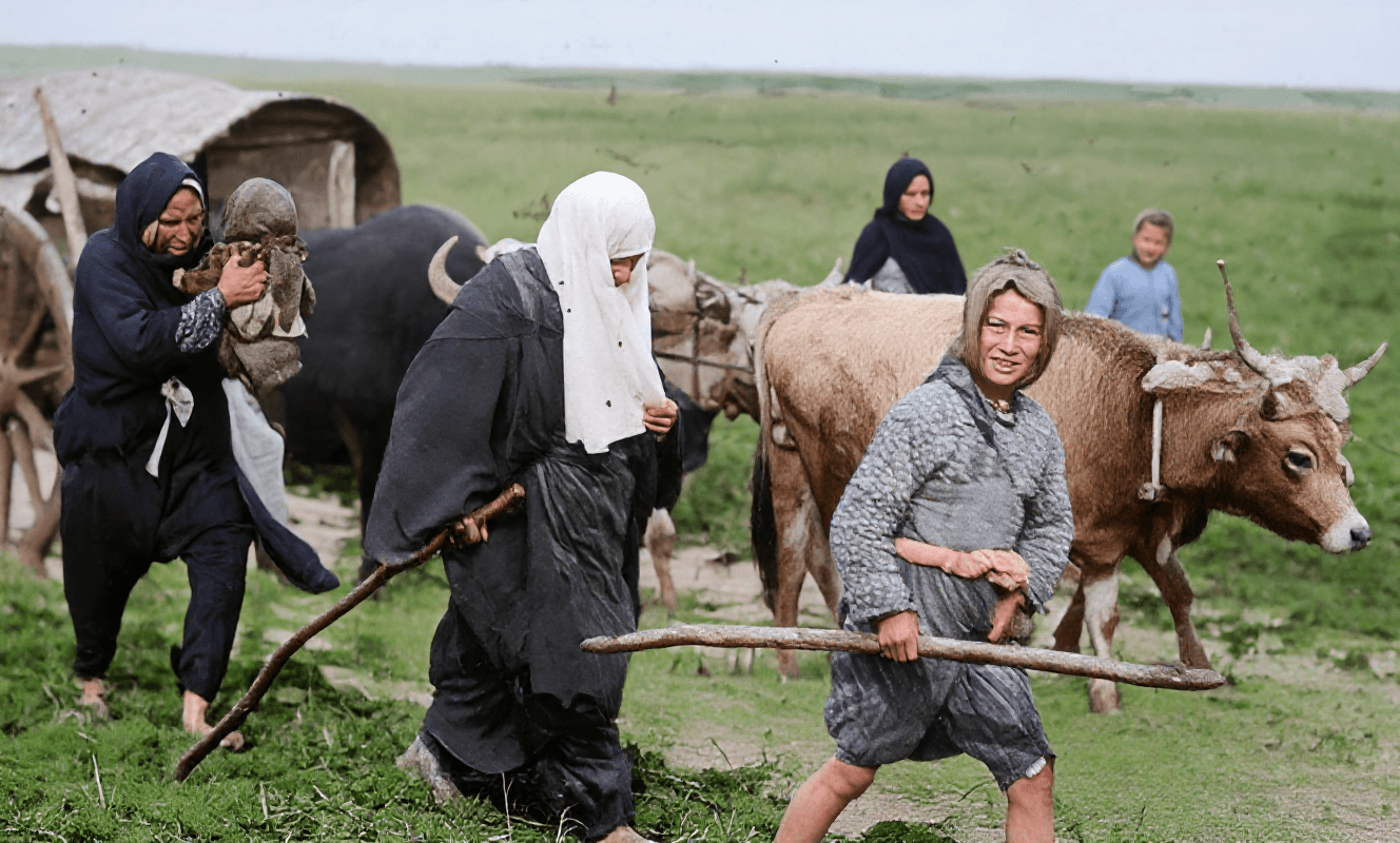 Przywrócone zdjęcie